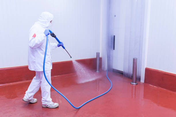 Paint Preparation in West Carrollton, OH
